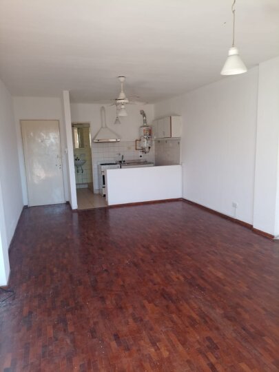 MONOAMBIENTE - PELLEGRINI 868